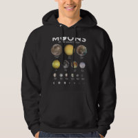 Astronomy Lover Moons Solar System Astronomy Astro
