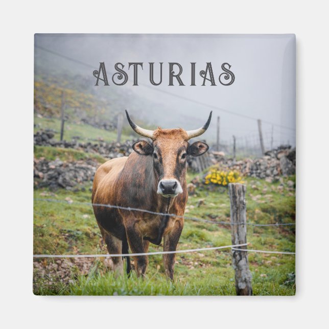 Asturias Mountain Cow Travel Magnet (Front)