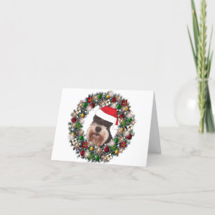 At Christmas - Miniature Schnauzer Holiday Card