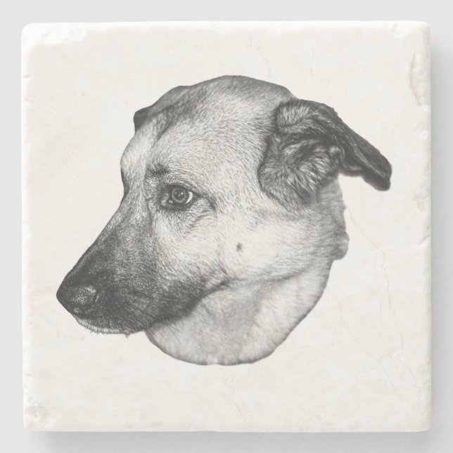 At Ease, Grayscale Dog Coaster (Front)