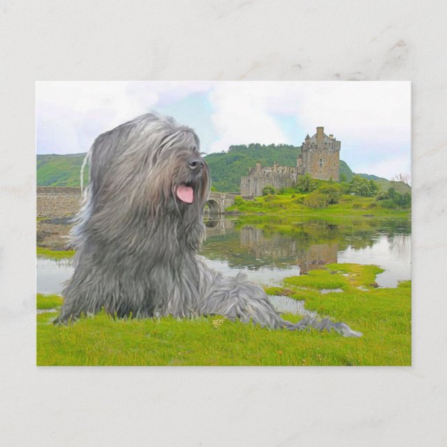 At Eilean Donan Postcard (Front)
