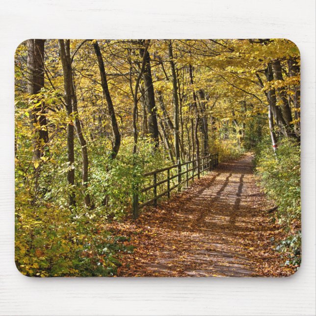At Fall In Wienerwald Mouse Mat (Front)