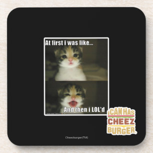 At first I was like Coaster