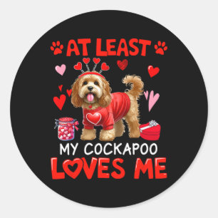 At Least My Apoo Loving Me Valentine's Single Owne Classic Round Sticker
