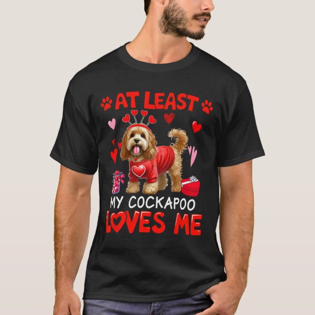 At Least My Apoo Loving Me Valentine's Single Owne T-Shirt (Front)