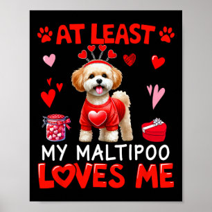 At Least My Maltipoo Loving Me Valentine's Single Poster