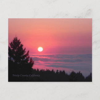 At peace once again.... postcard
