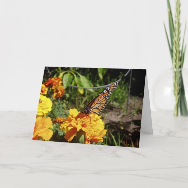 "At Rest" Get Well Card (Front)