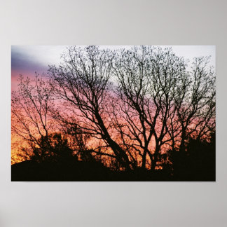 At Sunset Photographic Poster