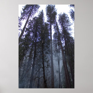 At the Base of Half Dome - Yosemite Poster