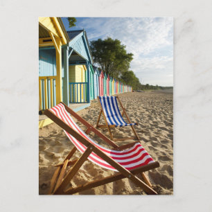 At the Beach   Striped Beach Chairs Postcard