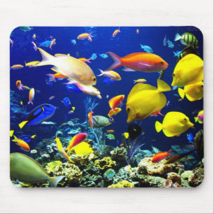 At the bottom of the sea mouse mat