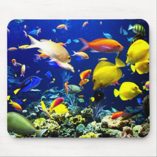 At the bottom of the sea mouse mat