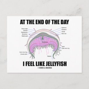 At The End Of The Day I Feel Like Jellyfish Postcard