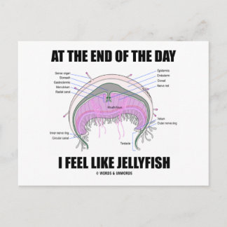 At The End Of The Day I Feel Like Jellyfish Postcard