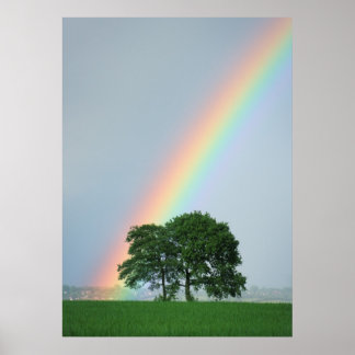 At The End of The Rainbow... Poster