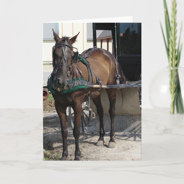 At the Hitching Post Card (Front)