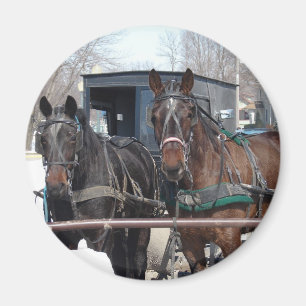 At the Hitching Post Magnet