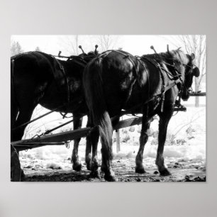 At the Hitching Post Poster