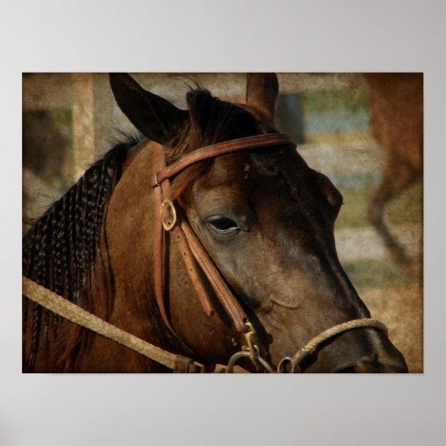 At the Horse Show Poster (Front)