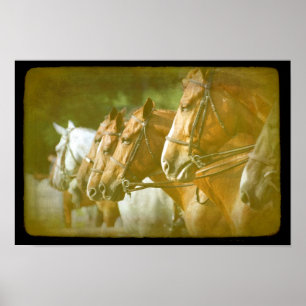 At the Horse Show Poster