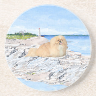 At the Lighthouse Coaster