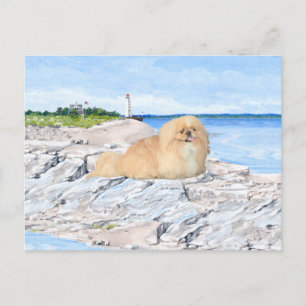 At the Lighthouse Postcard