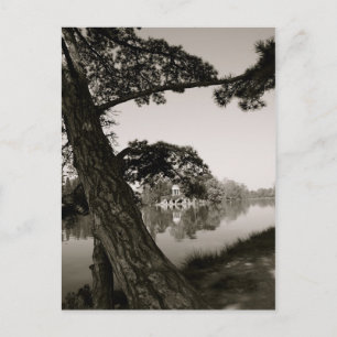 At the Park Postcard