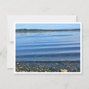 At the water postcard