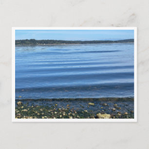 At the water postcard