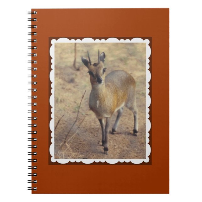 At the Zoo Notebook (Front)