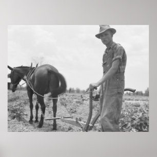 At Work in the Cotton Poster