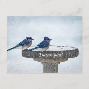 At Your Side Through The Storm Thank You Postcard