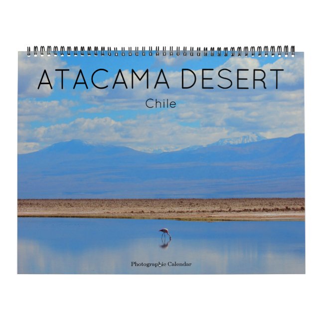 atacama desert 2026 large  calendar (Cover)