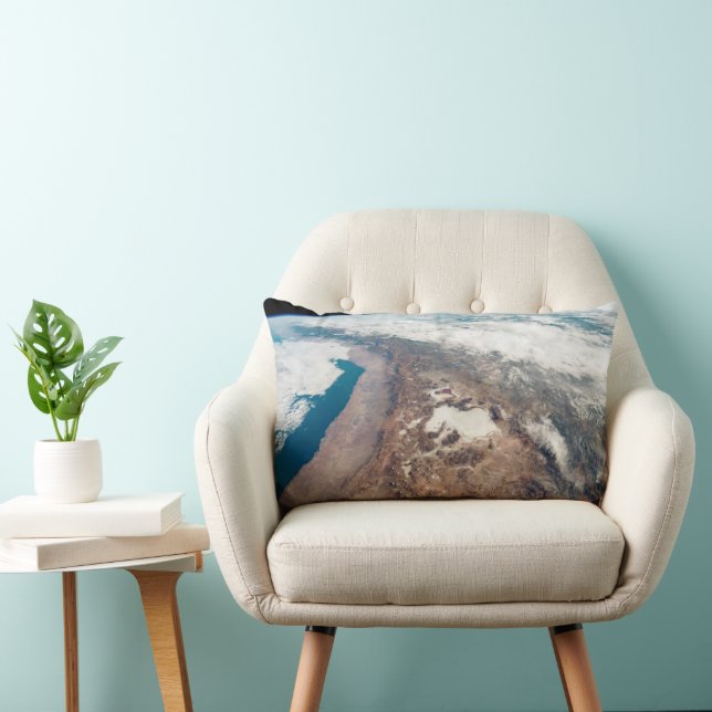 Atacama Desert And Salt Flats In The Andes Lumbar Cushion (Chair)