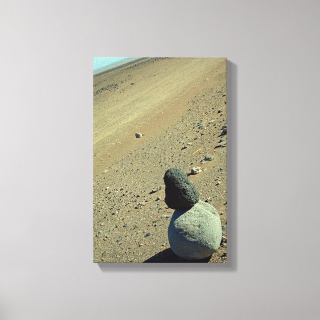 Atacama Desert Canvas Print (Front)