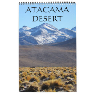 atacama desert landscapes calendar