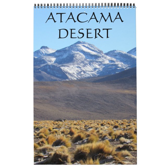 atacama desert landscapes calendar (Cover)