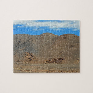 Atacama geoglyphs jigsaw puzzle