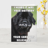 Ate the cake birthday card (Yellow Flower)