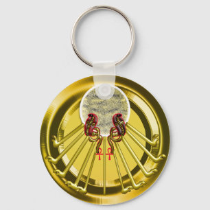aten key ring