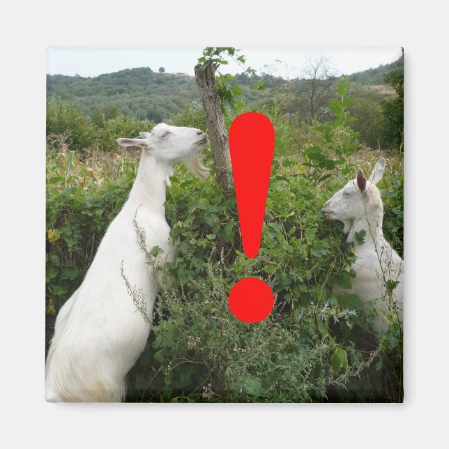 Atention magnet (Front)