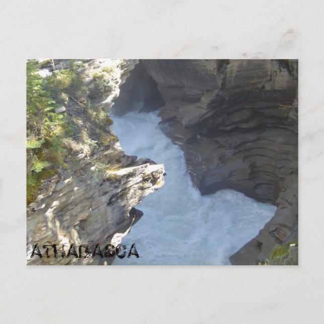 Athabasca falls ripping through the Canyon Postcard (Front)