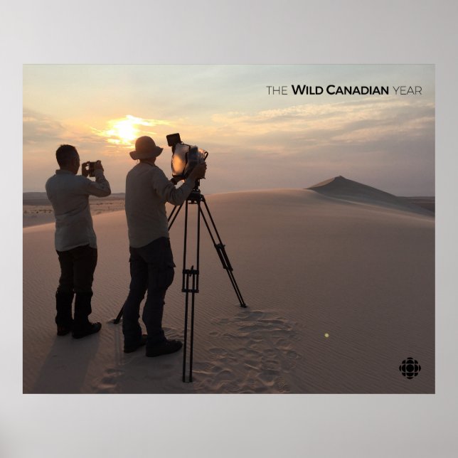 Athabasca Sand Dunes Poster (Front)