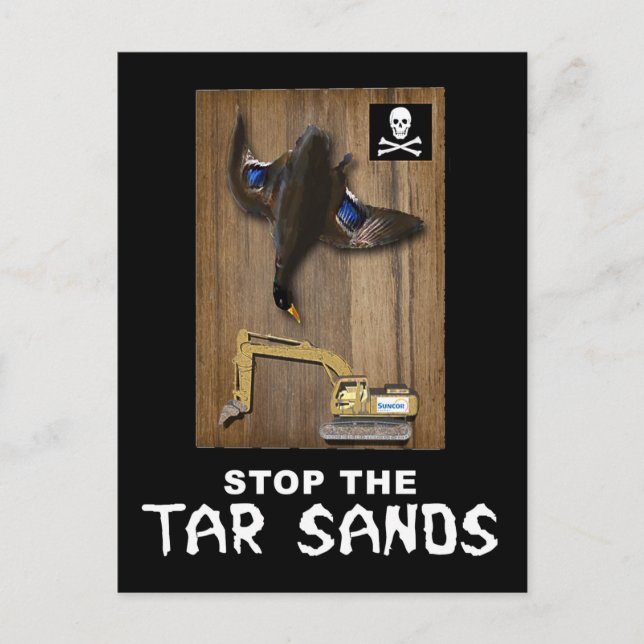 Athabasca Tar Sands Duck Mount Postcard (Front)