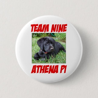 Athena Pi Button 1