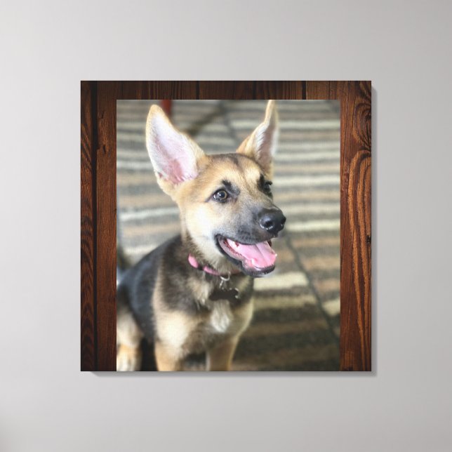 Athena puppy canvas print (Front)