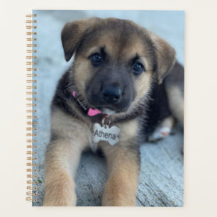 Athena puppy planner