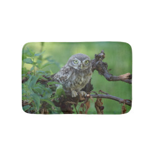 Athene noctua bath mat