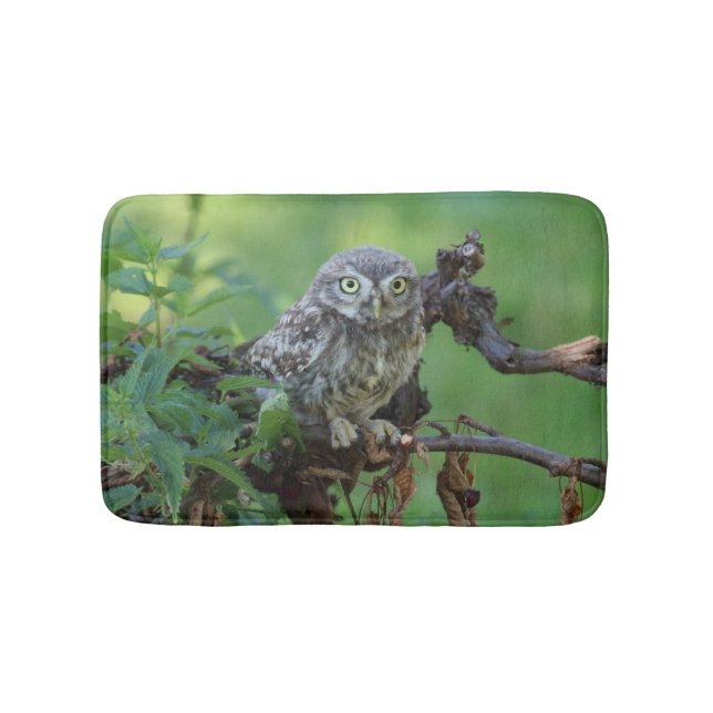 Athene noctua bath mat (Front)